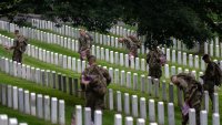 What is the difference between Memorial Day and Veterans Day?